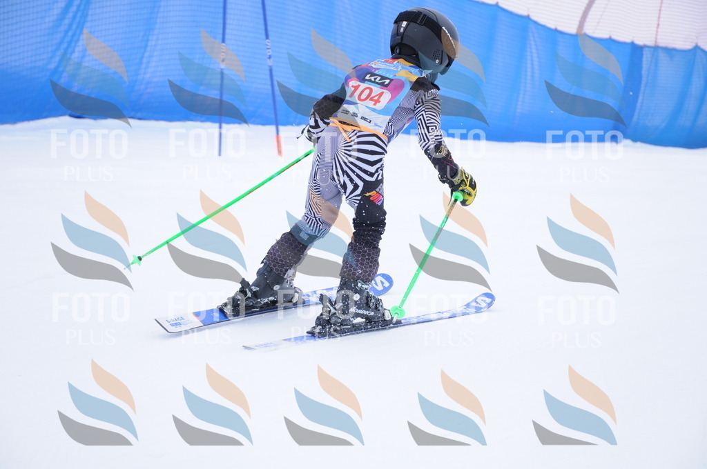 DSC_8372 | holidayphoto