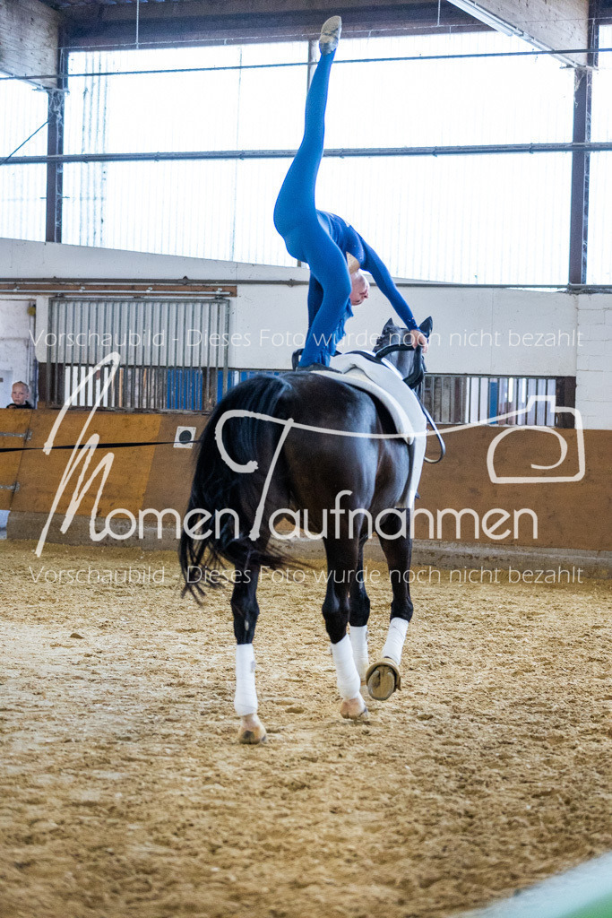 Einzel-005 | MomenTaufnahmen Pferdesportfotos