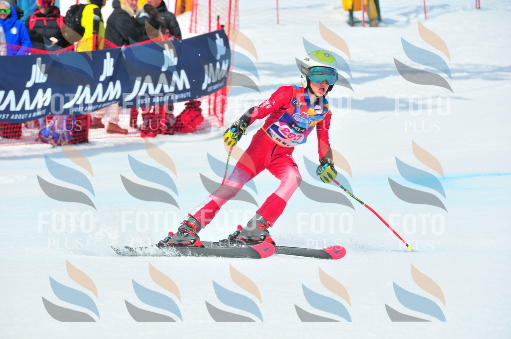 DSC_6518 | holidayphoto