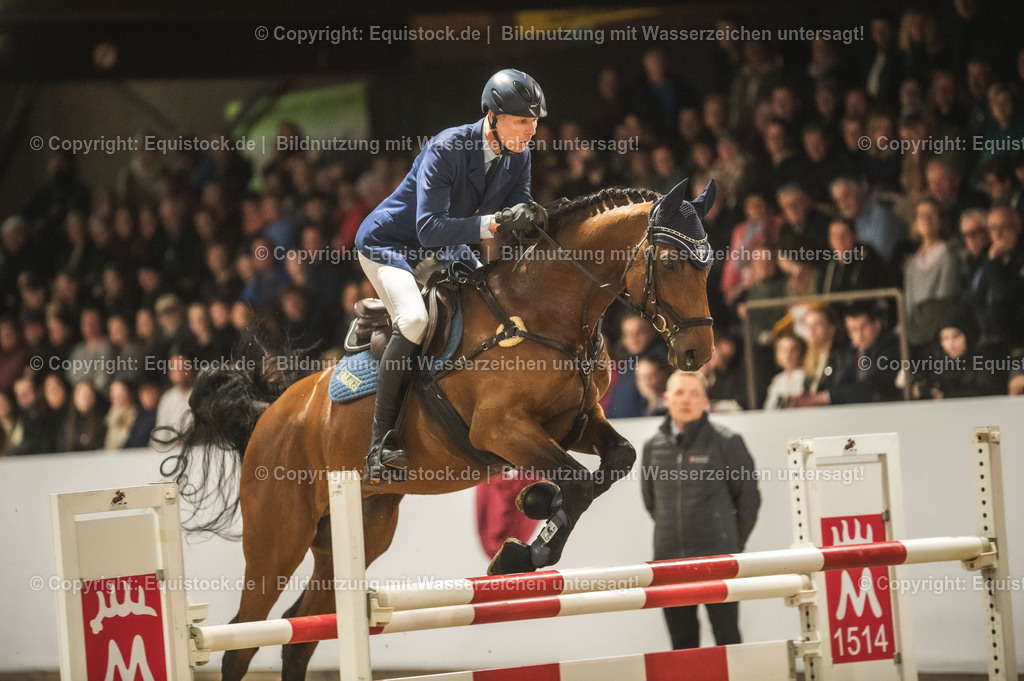 20240302_Hengstvorstellung_Marbach_TOMsPiC_0446-2 | equistock
