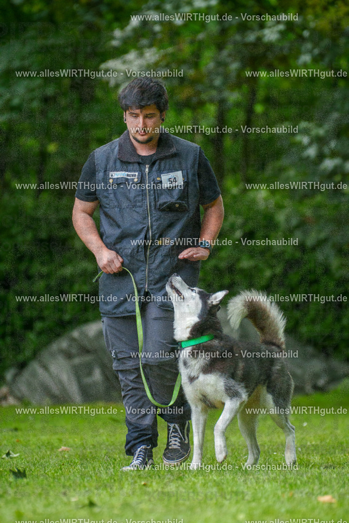 @allesWIRTHgut_Tierfotografie - www.allesWIRTHgut.de - 7R500873 | Professionelle Tierfotografie in Mönchengladbach von Daniel Wirth (allesWIRTHgut). Liebevolle & natürliche Bilder von Hunden & Katzen für unvergessliche Erinnerungen.