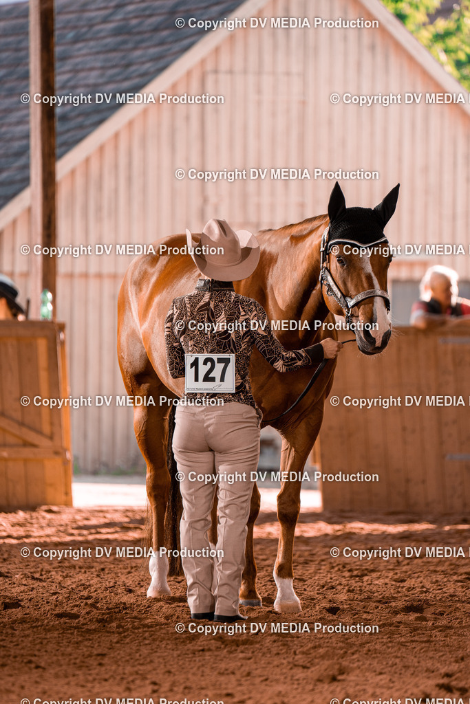 NE100121 | dv-media-shop - Realisiert mit Pictrs.com