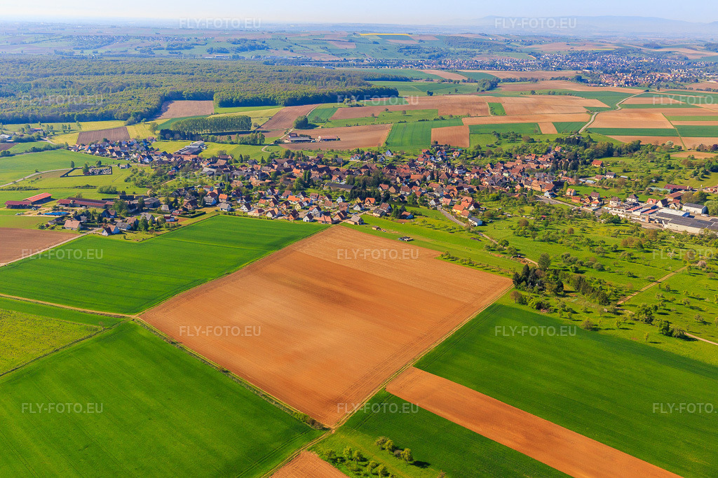Vue aérienne: Vue de la ville depuis le nord à Mietesheim dans le département Bas Rhin, France – .Photo: IMG_099505.jpg prise le 30/04/2017 par Werner Riehm/FLY-FOTO.eu – Résolution de l'original: 5472 x 3648 px