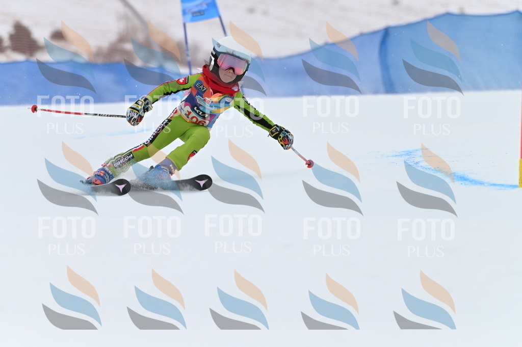 BGV_9350 | holidayphoto