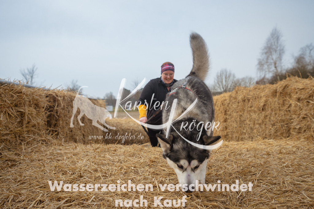 1003_ZZ92040 | kk-dogfotos