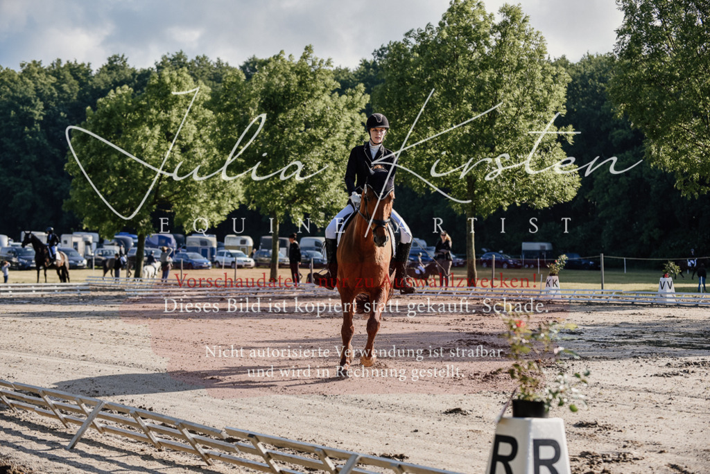 DSC_7702 | Pferde- und Turnierfotografie in Westsachsen. Pferdeportraits, Auftragszeichnungen und intuitive Kunst.