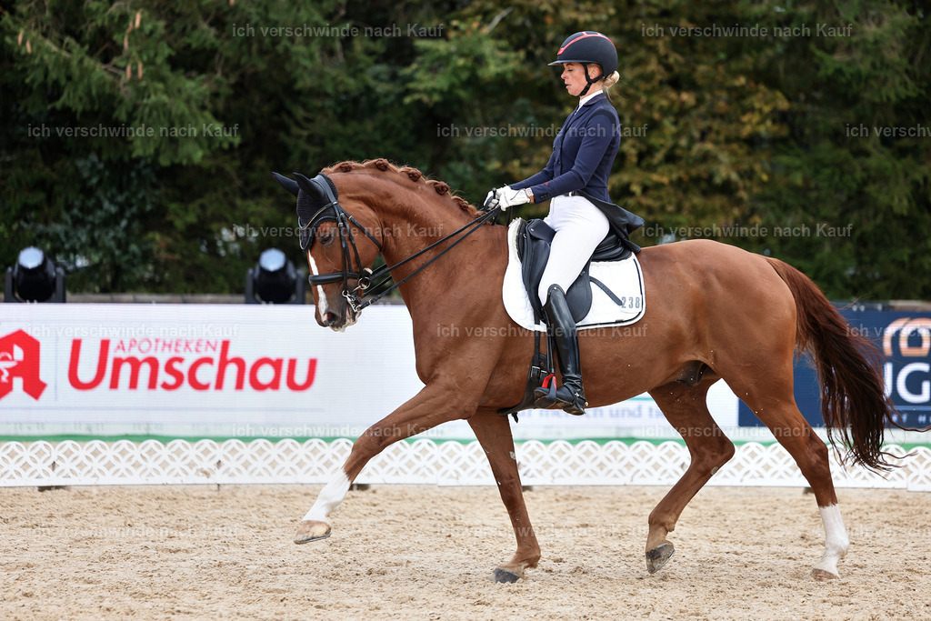 12-238-DRESSUR  S___  -StoibPH-5302 | working equitationturnier fotograf videograf stoibphotography marixx film working equitation deutschland reitsport turnierfotografie eventfotografie equestrian events