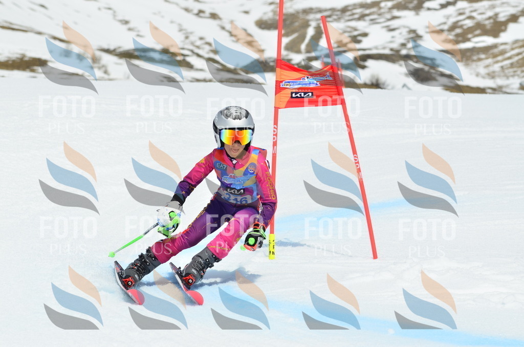 _ELE2630 | holidayphoto