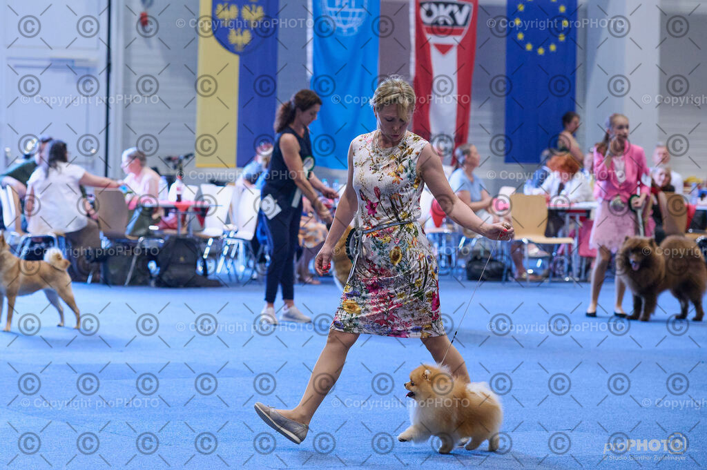 202406_ÖKV-IHA-Tulln24_DSC_3961 | proPHOTO - Realisiert mit Pictrs.com