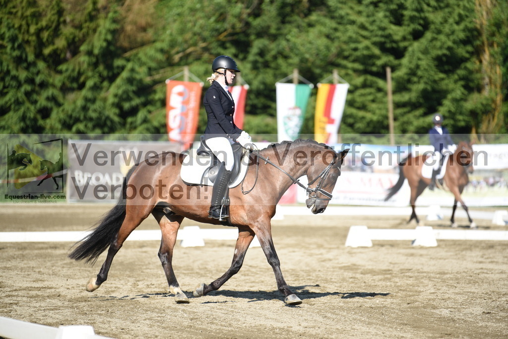 DSC_7172 | equestrian-live-com