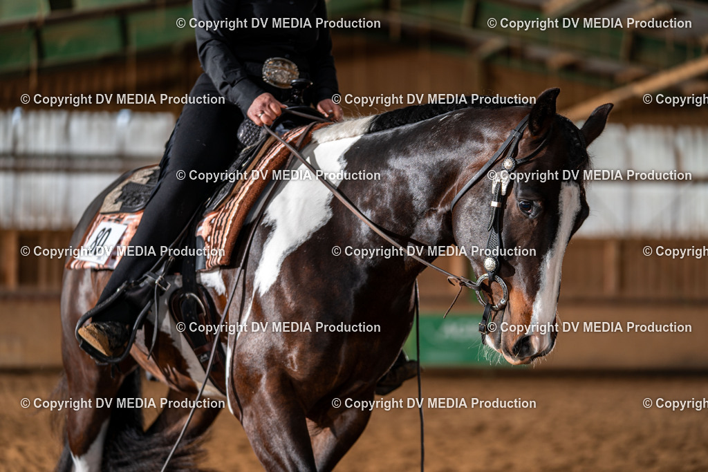 Balingen Tag 4-701 | dv-media-shop - Realisiert mit Pictrs.com