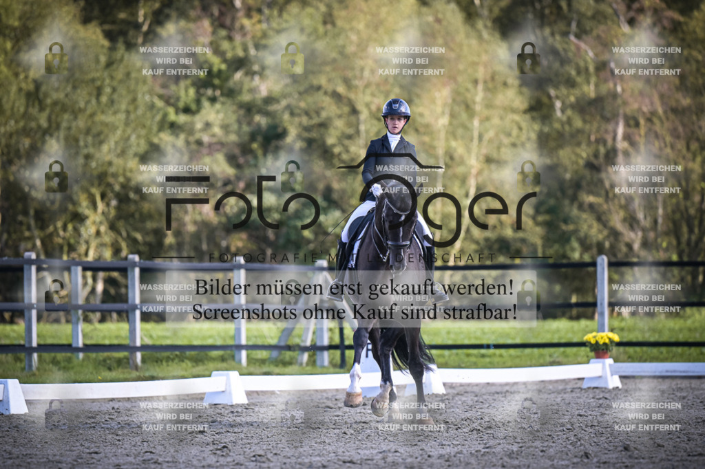 DOS_4245 | Entdecke hochwertige Reitturnierfotos von Foto Oger. Professionell, emotional und authentisch – jetzt Lieblingsmomente im Shop bestellen.Deutschlandweite Turnierfotografie. - Realisiert mit Pictrs.com