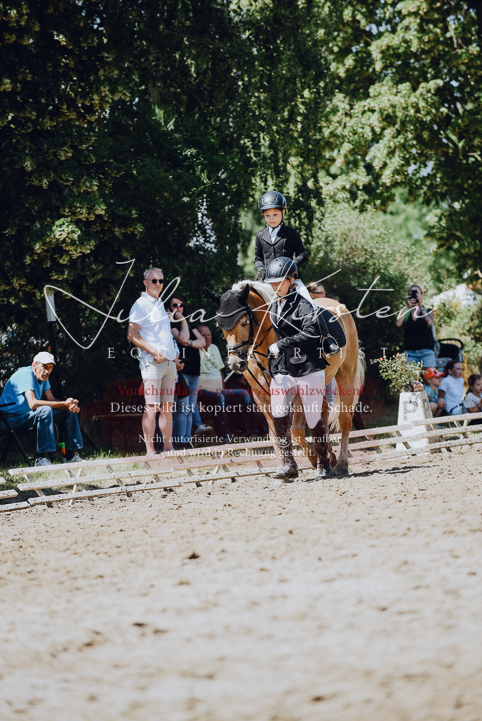 DSC_2522 | Pferde- und Turnierfotografie in Westsachsen. Pferdeportraits, Auftragszeichnungen und intuitive Kunst.