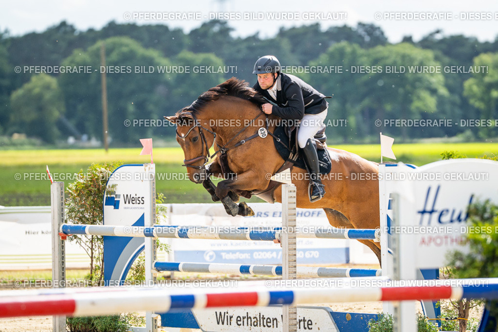 DSC06120 | Pferdegrafie