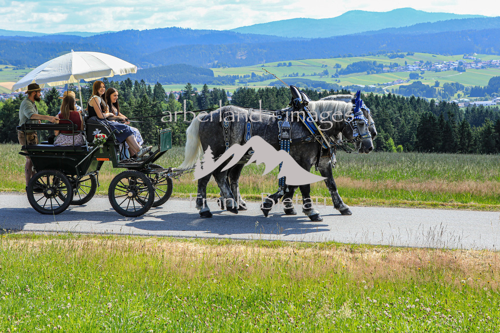 OE7A9816 | Medien- Sport- Entertainmentfotos