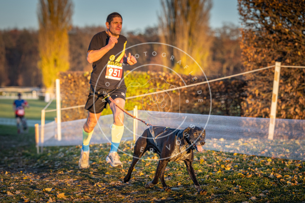 CaniXpix_DV3A5655 | Hundefotografie, Tierfotograf, Pfotenfotografie, Fotoshooting Hund, Hunde Portrait, Hundesport, Hundeportraits, Heideshooting, Hunde, Sportfotograf, Hundefotograf, Turnierhundsport, THS,  - Realisiert mit Pictrs.com