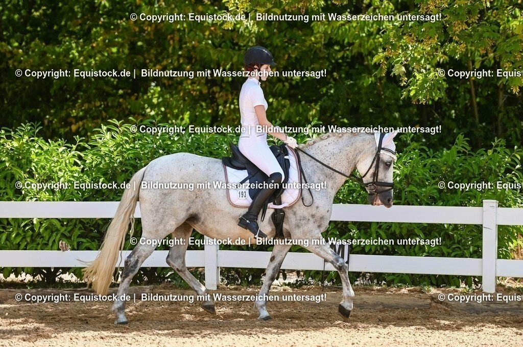 20230715_09_Dressur-WB_0305 | equistock