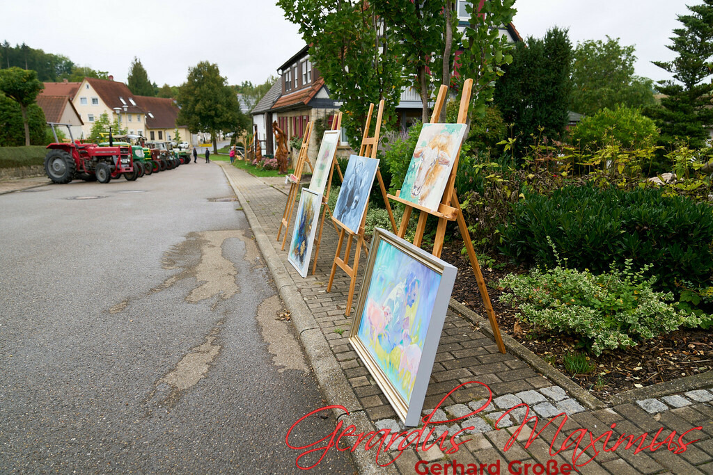 Schleierhof Hoffest 2022 220 | Chor für Alle | Biberach - Realisiert mit Pictrs.com