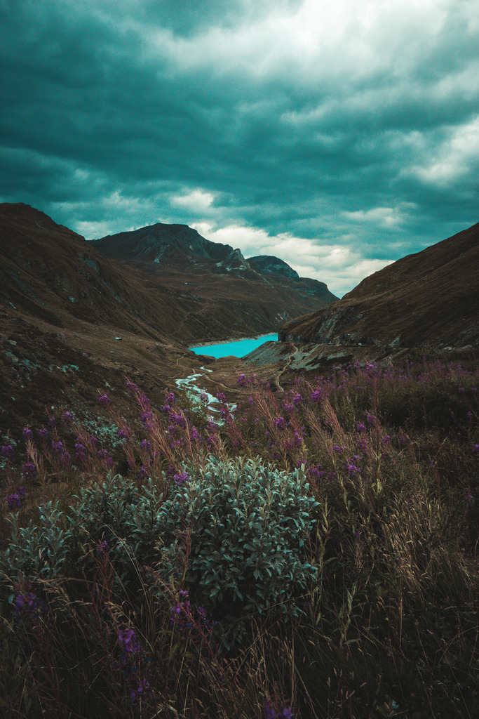 _DSC8568 | <meta name="keywords" content="Bergbilder, Hochzeitsfotografie, Actionshootings, Fotografiearbeiten, Berglandschaften, Naturfotografie">

 - Realisiert mit Pictrs.com