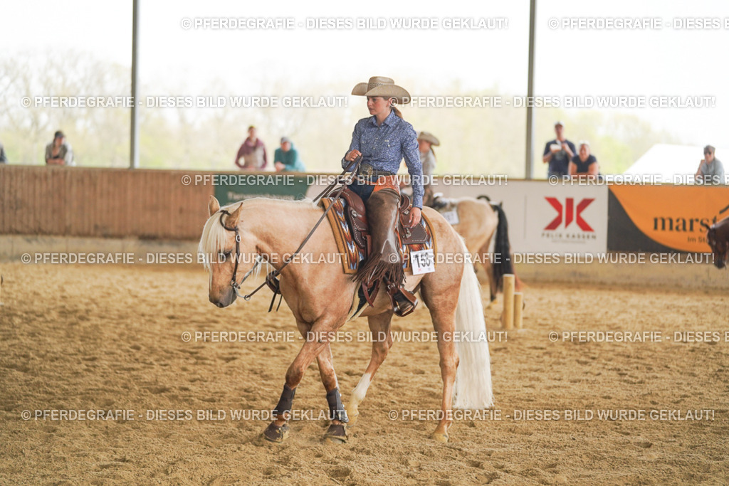 DSC05858 | Pferdegrafie