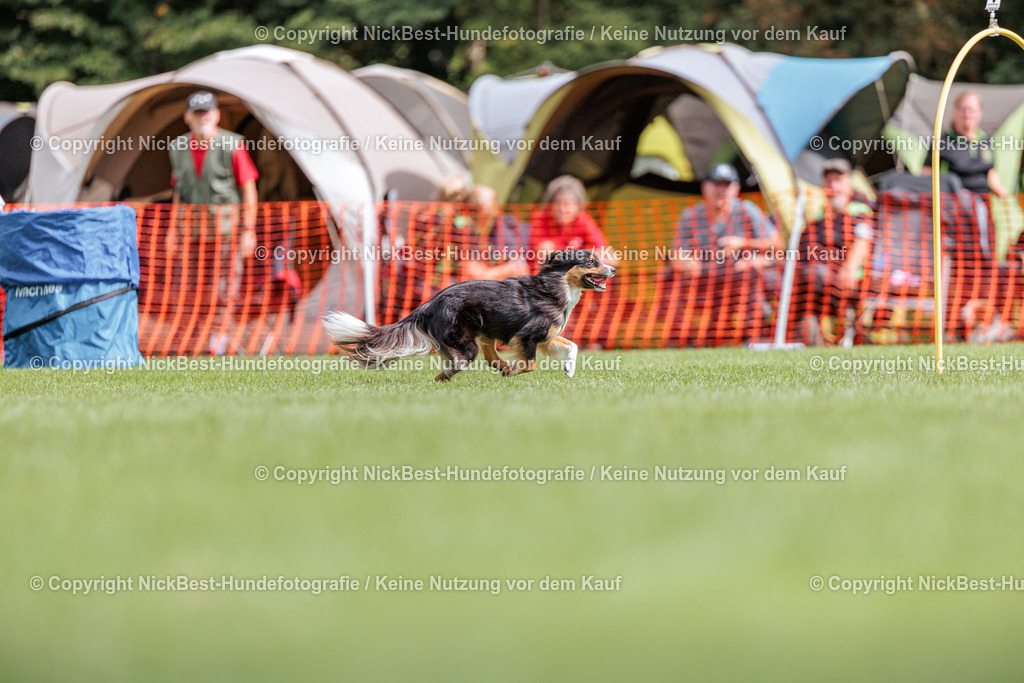 BSP Hoopers-H1-2026-Nickbest-Hundefotografie-TuS Komet Arsten e.V.-7055 | Dein Hund! Dein Moment! Deine Erinnerungen! Hundefotografie in Bremen Blumenthal. Ich fange die besonderen Momente deines Vierbeiners ein – ob Indoor mit Blitzanlage oder in der freien Natur. Sicher dir dein Moment und dein Termin für eure Erinnerungen.