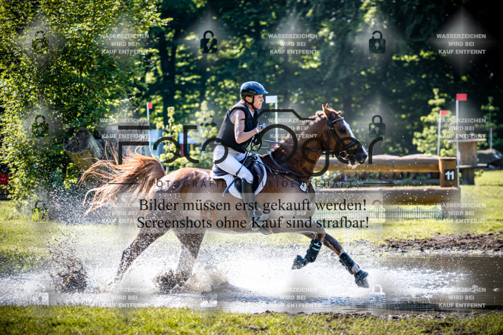 2026-05 - Melle Oldendorf-3-0059 | Entdecke hochwertige Reitturnierfotos von Foto Oger. Professionell, emotional und authentisch – jetzt Lieblingsmomente im Shop bestellen.Deutschlandweite Turnierfotografie. - Realisiert mit Pictrs.com