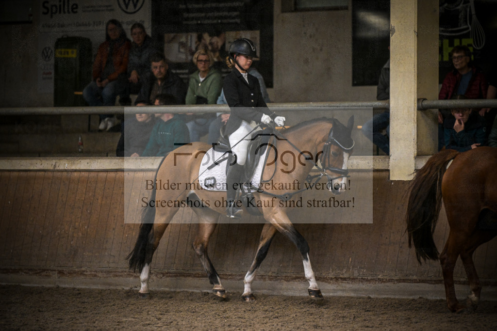 DOS_1375 | Entdecke hochwertige Reitturnierfotos von Foto Oger. Professionell, emotional und authentisch – jetzt Lieblingsmomente im Shop bestellen.Deutschlandweite Turnierfotografie. - Realisiert mit Pictrs.com