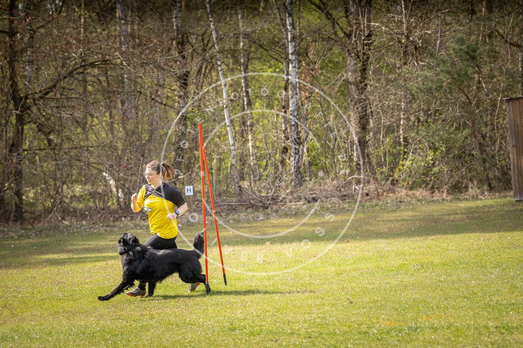 Pfotenfotografie_DV3A0121 | Hundefotografie, Tierfotograf, Pfotenfotografie, Fotoshooting Hund, Hunde Portrait, Hundesport, Hundeportraits, Heideshooting, Hunde, Sportfotograf, Hundefotograf, Turnierhundsport, THS,  - Realisiert mit Pictrs.com