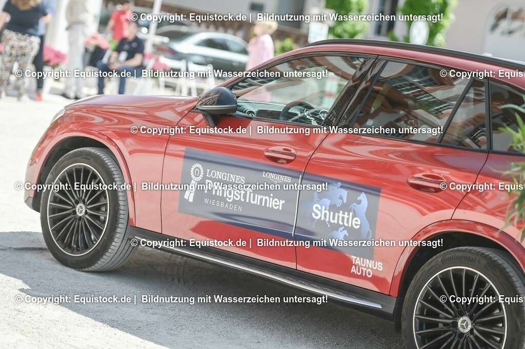 D78_2886 | equistock