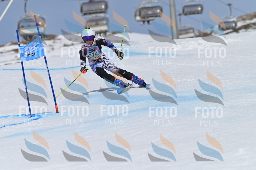 BGV_3450 | holidayphoto