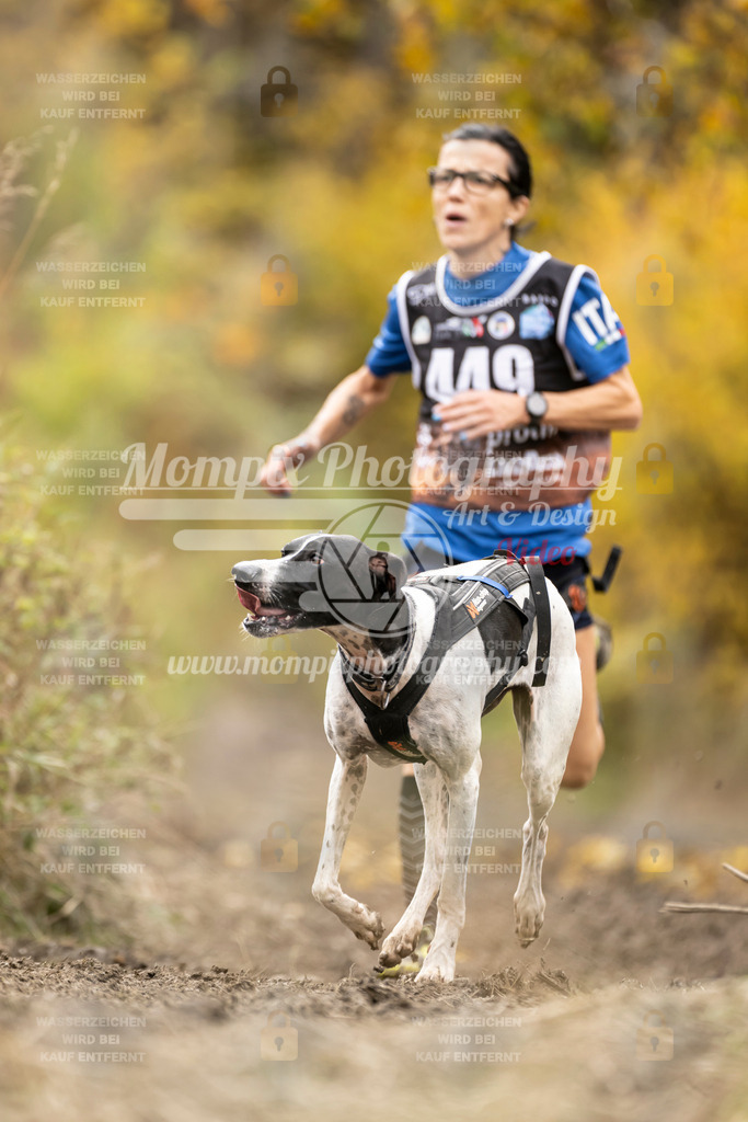 MompixPhotography_ICF_WC_2024_SA_Run_-458 | PayLife
