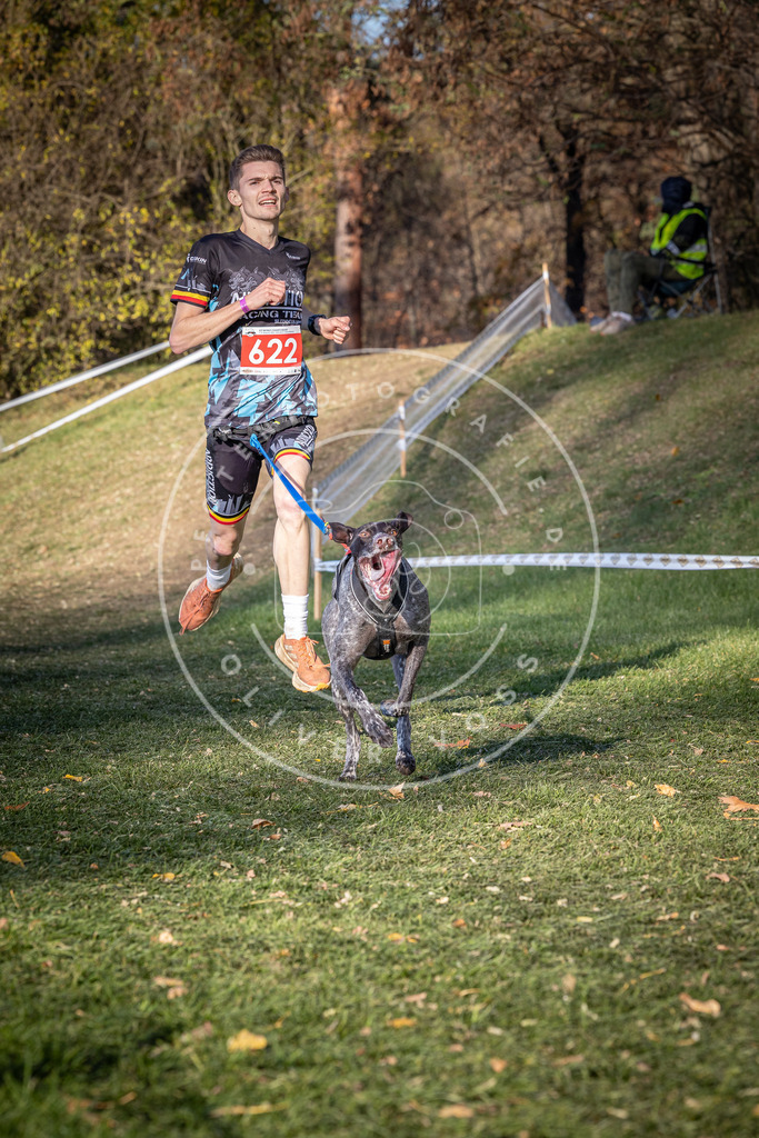 CaniXpix_0L8A8775 | Hundefotografie, Tierfotograf, Pfotenfotografie, Fotoshooting Hund, Hunde Portrait, Hundesport, Hundeportraits, Heideshooting, Hunde, Sportfotograf, Hundefotograf, Turnierhundsport, THS,  - Realisiert mit Pictrs.com