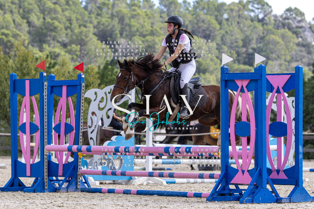 IMG_2542 | s-jay-photography - Realisiert mit Pictrs.com