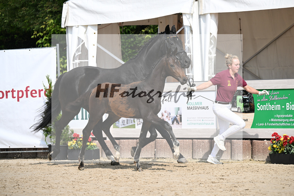 Escaneno x Ganymedes_HF_Amann_12250194 | hf-fotografie - Realisiert mit Pictrs.com