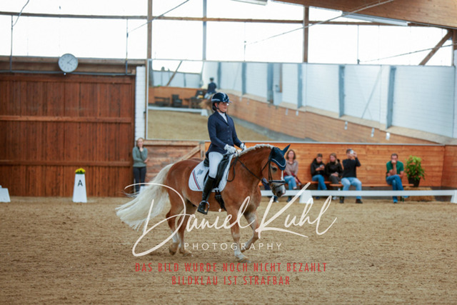 _62_5617 | Turniersportfotografie; Pferdefotografie; Dressurfotografie