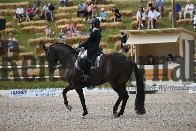 Birkhof_2022_GrandPrixSpecial_Nicole Isser_DiCaprio 4 (26) | Alle Fotos der Reiterjournal Fotografin Doris Matthaes im Reiterjournal Online-Fotoshop. - Realisiert mit Pictrs.com