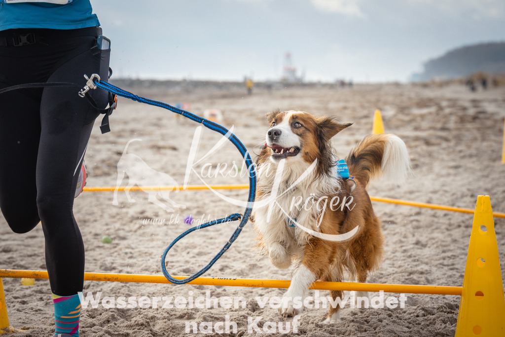 1153_ZZ92322 | kk-dogfotos