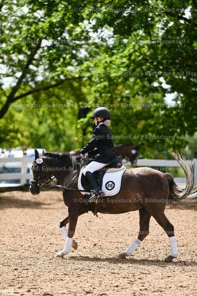 20230716_10-3_Reiter-WB Schritt - Trab - Galopp_0081 | equistock