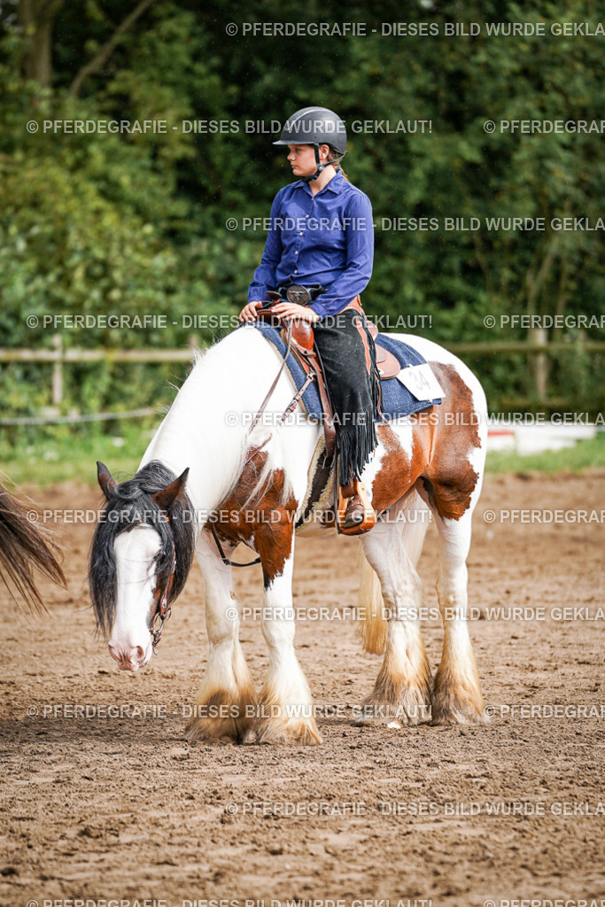 DSC09217 | Pferdegrafie