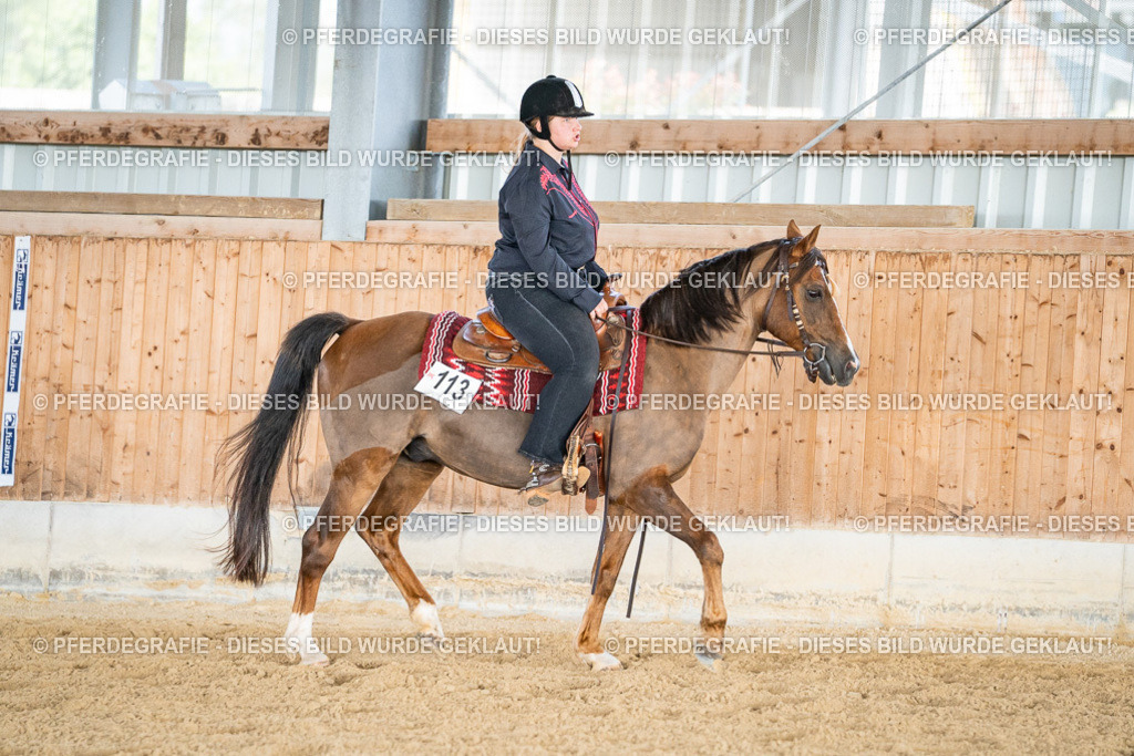 DSC08574 | Pferdegrafie