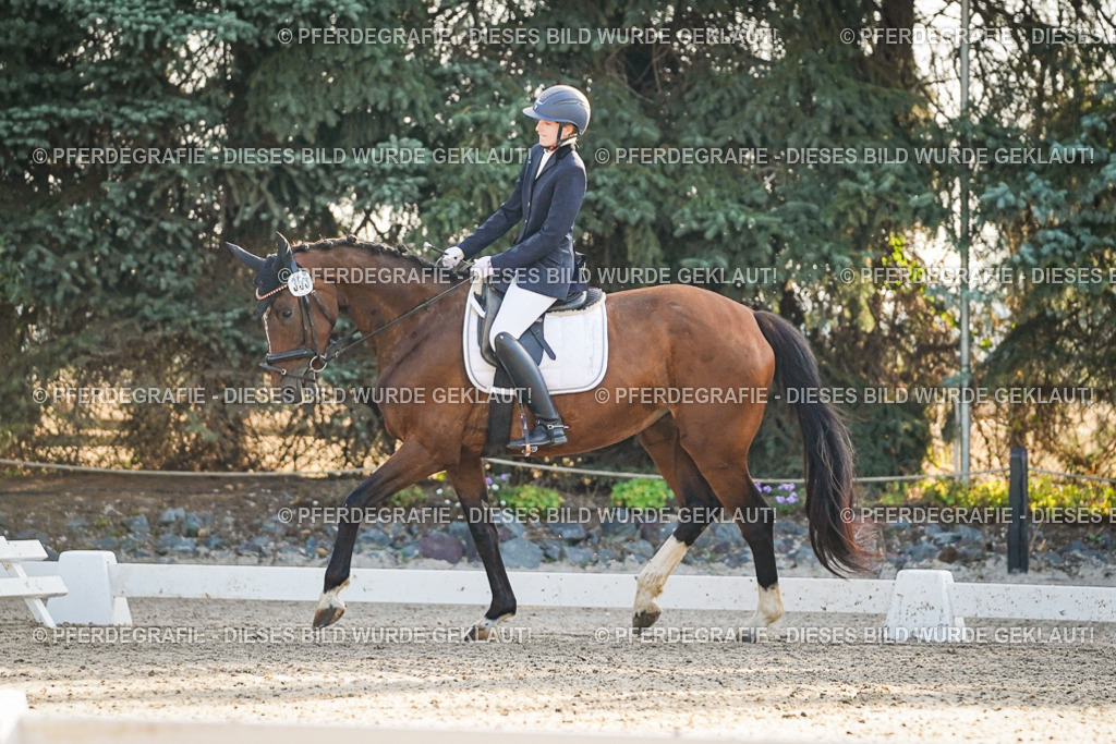 DSC07870 | Pferdegrafie