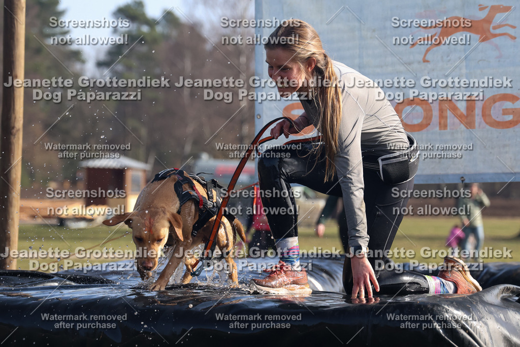 Dog Paparazzi - Strongdog North Mrz26-1095 | Dog Paparazzi Jeanette Grottendiek Fotografie & Videografie - Realisiert mit Pictrs.com