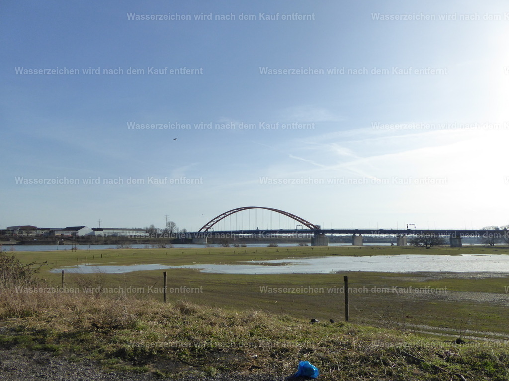 Rheinbrücke | An den Rheinwiesen - Realisiert mit Pictrs.com