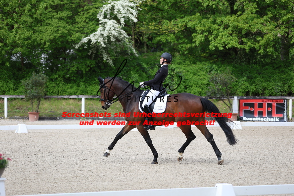 A40A4099 | lmwpictures - Realisiert mit Pictrs.com