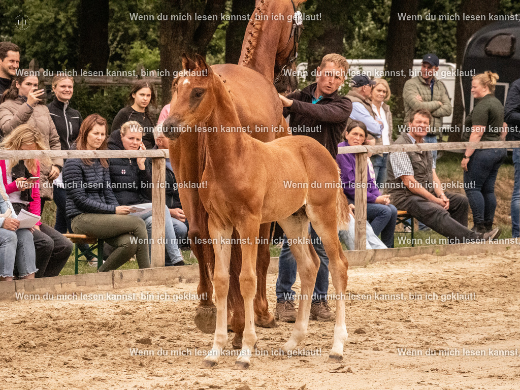 A10I1361 | photographylinaismer - Realisiert mit Pictrs.com