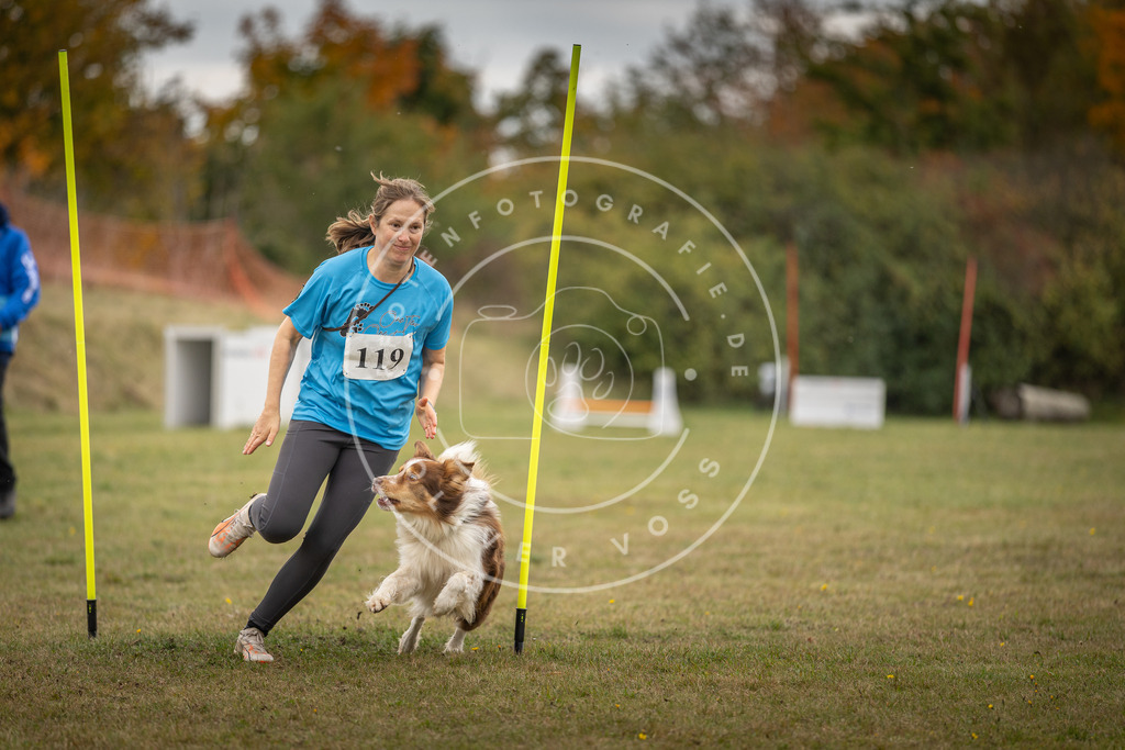 Pfotenfotografie_DV3A7604 | Hundefotografie, Tierfotograf, Pfotenfotografie, Fotoshooting Hund, Hunde Portrait, Hundesport, Hundeportraits, Heideshooting, Hunde, Sportfotograf, Hundefotograf, Turnierhundsport, THS,  - Realisiert mit Pictrs.com