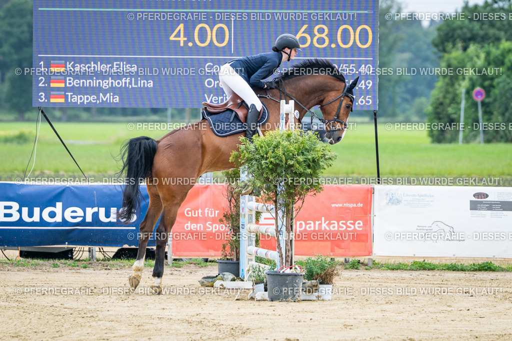 DSC03448 | Pferdegrafie