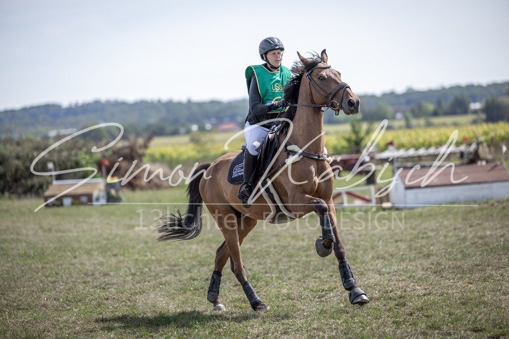 20250907-_3LI0881 | Tierfotografie Pferde, Hunde, Katzen, Haustiere.
Turnierfotografie Reitturniere, Reiten, Springreiten, Dressur in Hanau, dem Main-Kinzig-Kreis und dem Rhein-Main- Gebiet um Frankfurt