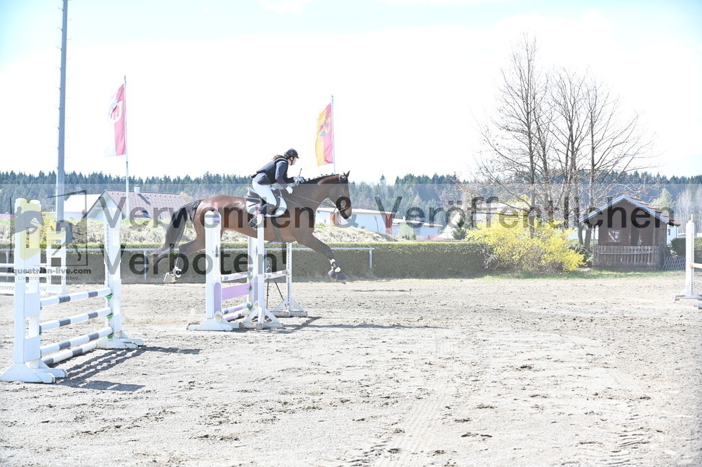 DSC_5271 | equestrian-live-com