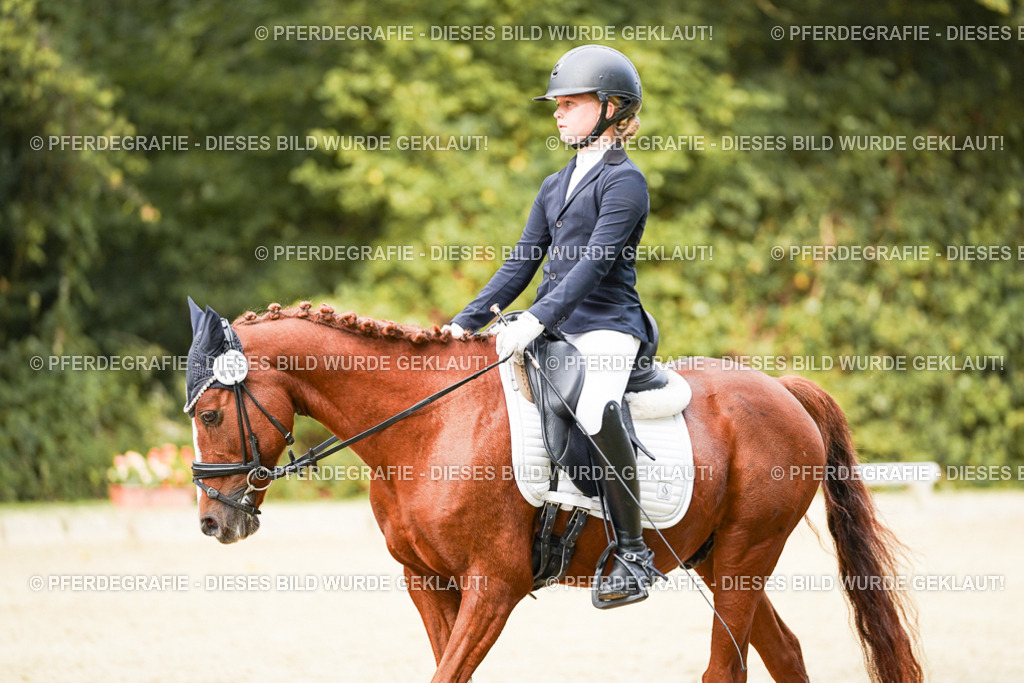 DSC03740 | Pferdegrafie